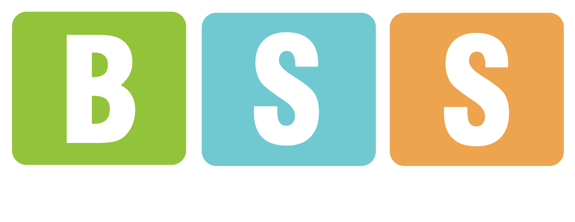 BSS Logo